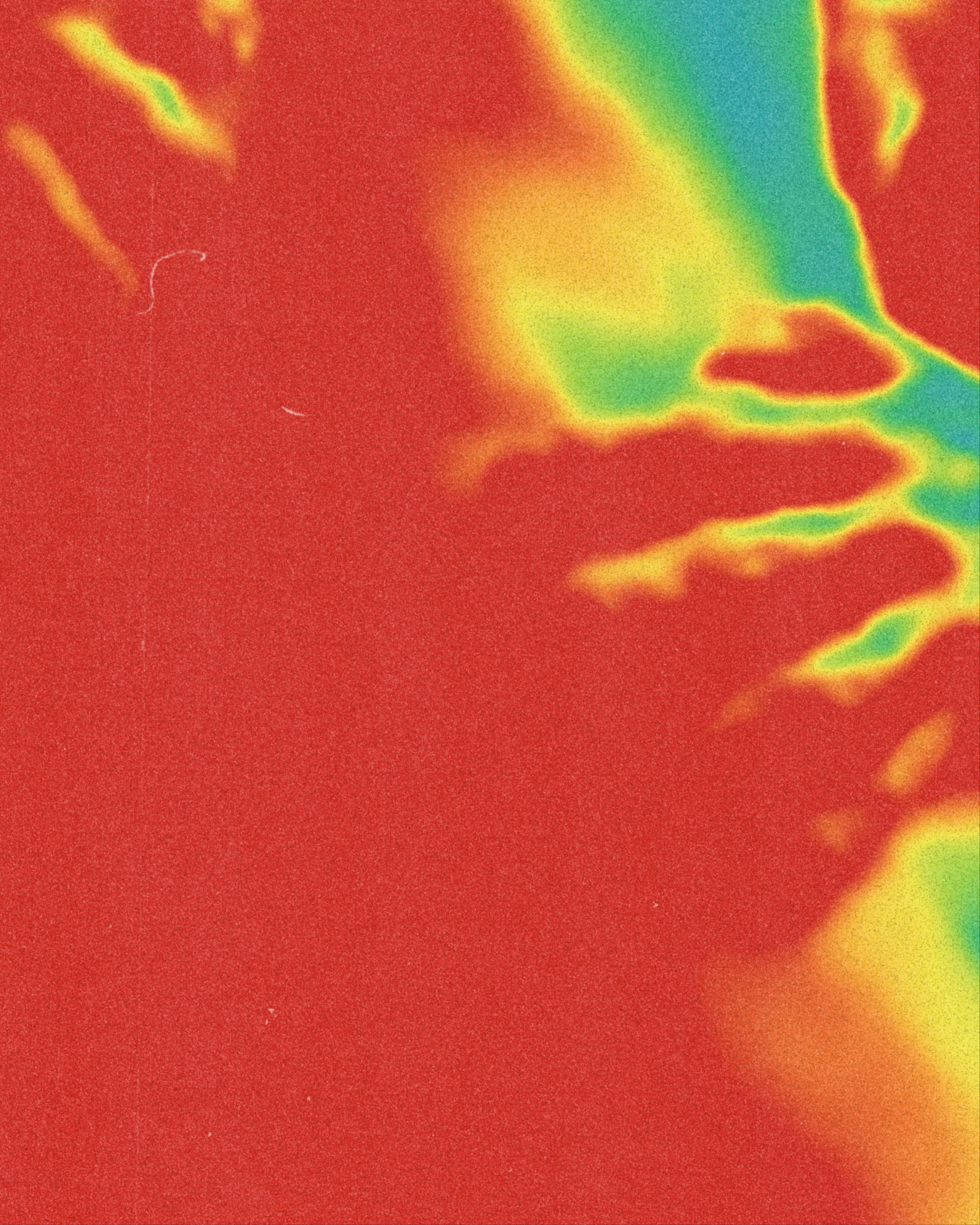 The same photograph after the heat treatment